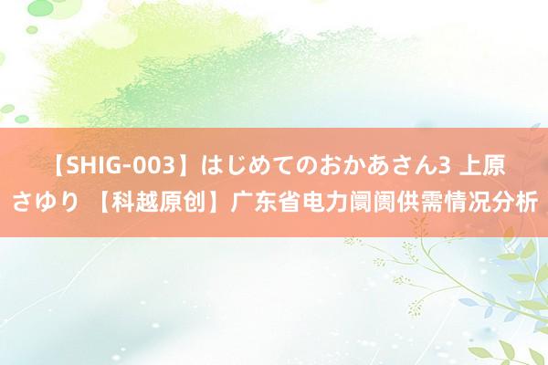 【SHIG-003】はじめてのおかあさん3 上原さゆり 【科越原创】广东省电力阛阓供需情况分析