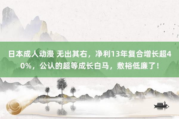 日本成人动漫 无出其右，净利13年复合增长超40%，公认的超等成长白马，敷裕低廉了！