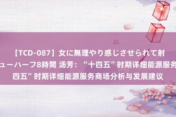 【TCD-087】女に無理やり感じさせられて射精までしてしまうニューハーフ8時間 汤芳：“十四五”时期详细能源服务商场分析与发展建议