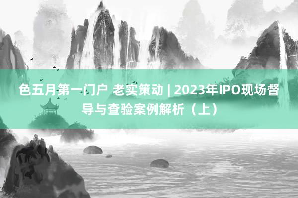 色五月第一门户 老实策动 | 2023年IPO现场督导与查验案例解析（上）