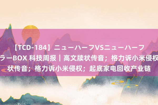 【TCD-184】ニューハーフVSニューハーフ 不純同性肛遊ベストセラーBOX 科技周报｜高文牍状传音；格力诉小米侵权；起底家电回收产业链