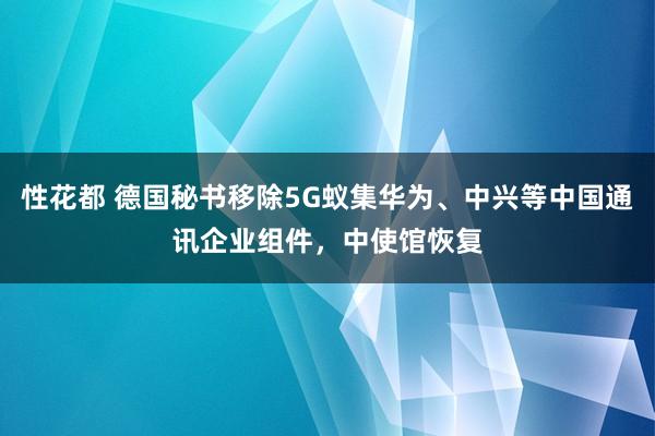 性花都 德国秘书移除5G蚁集华为、中兴等中国通讯企业组件，中使馆恢复