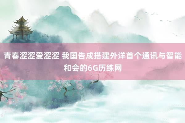 青春涩涩爱涩涩 我国告成搭建外洋首个通讯与智能和会的6G历练网