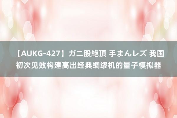 【AUKG-427】ガニ股絶頂 手まんレズ 我国初次见效构建高出经典绸缪机的量子模拟器