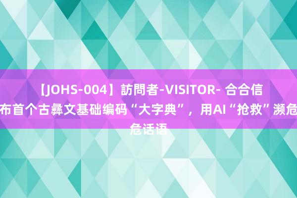 【JOHS-004】訪問者-VISITOR- 合合信息发布首个古彝文基础编码“大字典”，用AI“抢救”濒危话语