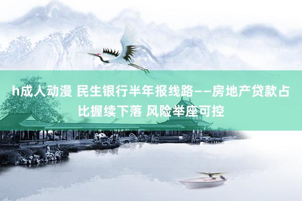 h成人动漫 民生银行半年报线路——房地产贷款占比握续下落 风险举座可控