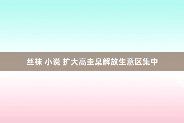 丝袜 小说 扩大高圭臬解放生意区集中