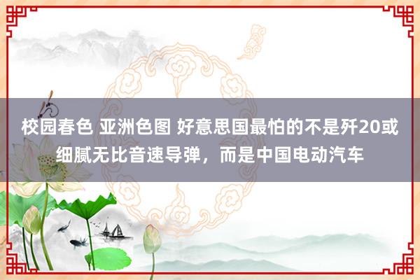 校园春色 亚洲色图 好意思国最怕的不是歼20或细腻无比音速导弹，而是中国电动汽车