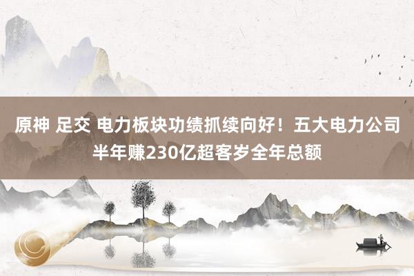 原神 足交 电力板块功绩抓续向好！五大电力公司半年赚230亿超客岁全年总额