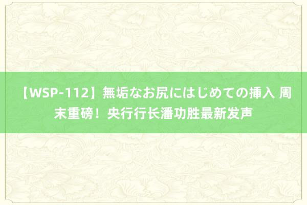 【WSP-112】無垢なお尻にはじめての挿入 周末重磅！央行行长潘功胜最新发声