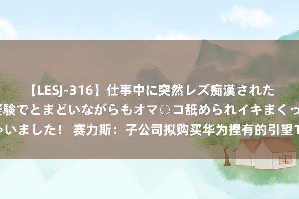 【LESJ-316】仕事中に突然レズ痴漢された私（ノンケ）初めての経験でとまどいながらもオマ○コ舐められイキまくっちゃいました！ 赛力斯：子公司拟购买华为捏有的引望10%股权 交往金额为115亿元