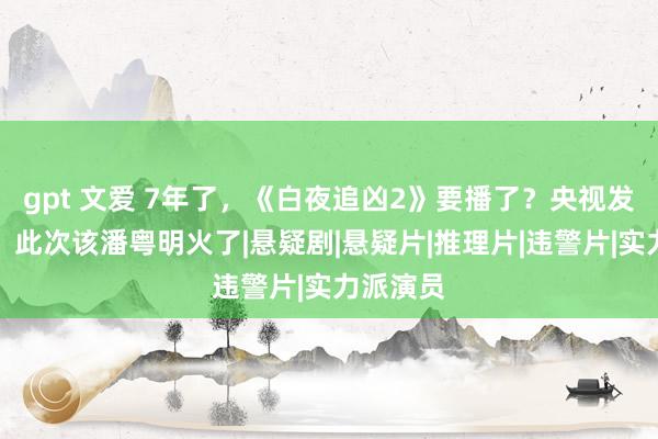 gpt 文爱 7年了，《白夜追凶2》要播了？央视发文宣传，此次该潘粤明火了|悬疑剧|悬疑片|推理片|违警片|实力派演员