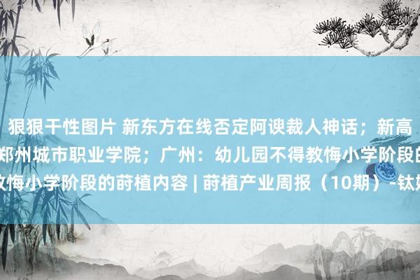 狠狠干性图片 新东方在线否定阿谀裁人神话；新高教集团6.74亿元收购郑州城市职业学院；广州：幼儿园不得教悔小学阶段的莳植内容 | 莳植产业周报（10期）-钛媒体官方网站