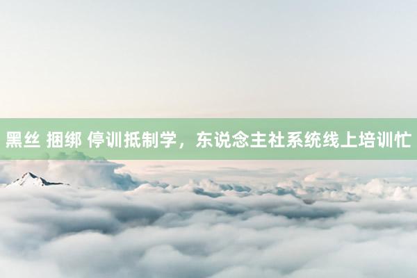 黑丝 捆绑 停训抵制学，东说念主社系统线上培训忙