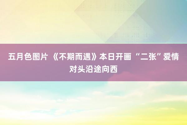 五月色图片 《不期而遇》本日开画 “二张”爱情对头沿途向西