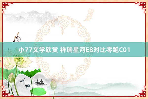 小77文学欣赏 祥瑞星河E8对比零跑C01