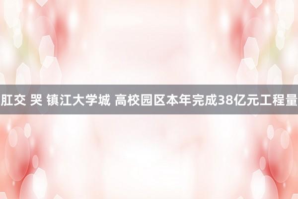 肛交 哭 镇江大学城 高校园区本年完成38亿元工程量