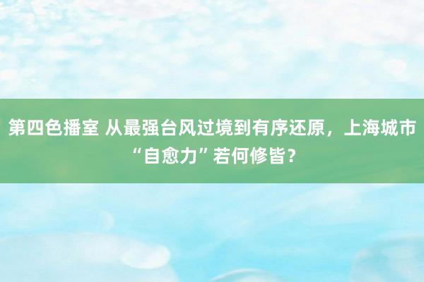 第四色播室 从最强台风过境到有序还原，上海城市“自愈力”若何修皆？