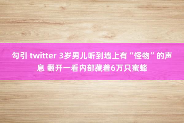 勾引 twitter 3岁男儿听到墙上有“怪物”的声息 翻开一看内部藏着6万只蜜蜂